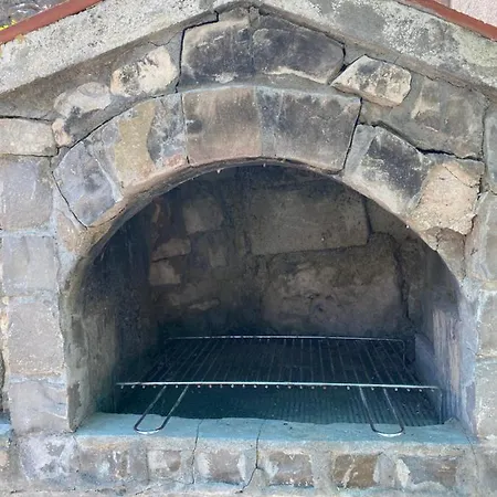 Rustica Bougainvillea * Maslinica