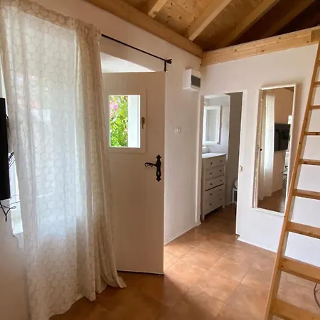 Rustica Bougainvillea