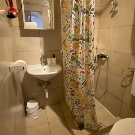 Rustica Bougainvillea