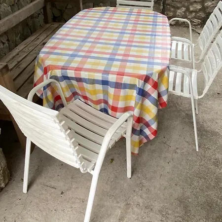 Rustica Bougainvillea *