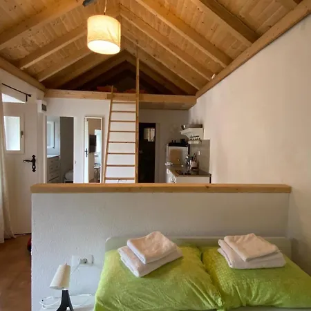 Rustica Bougainvillea Maslinica