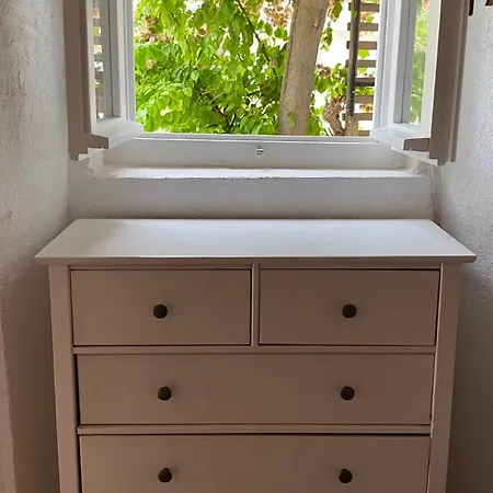 Rustica Bougainvillea * Maslinica