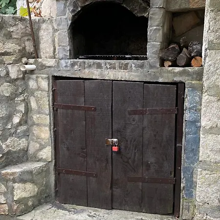 Rustica Bougainvillea