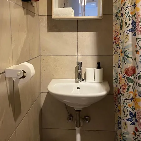 Rustica Bougainvillea * Maslinica