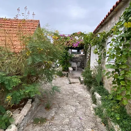 Rustica Bougainvillea Maslinica