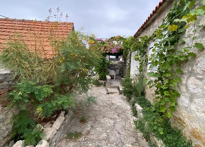 Rustica Bougainvillea Maslinica